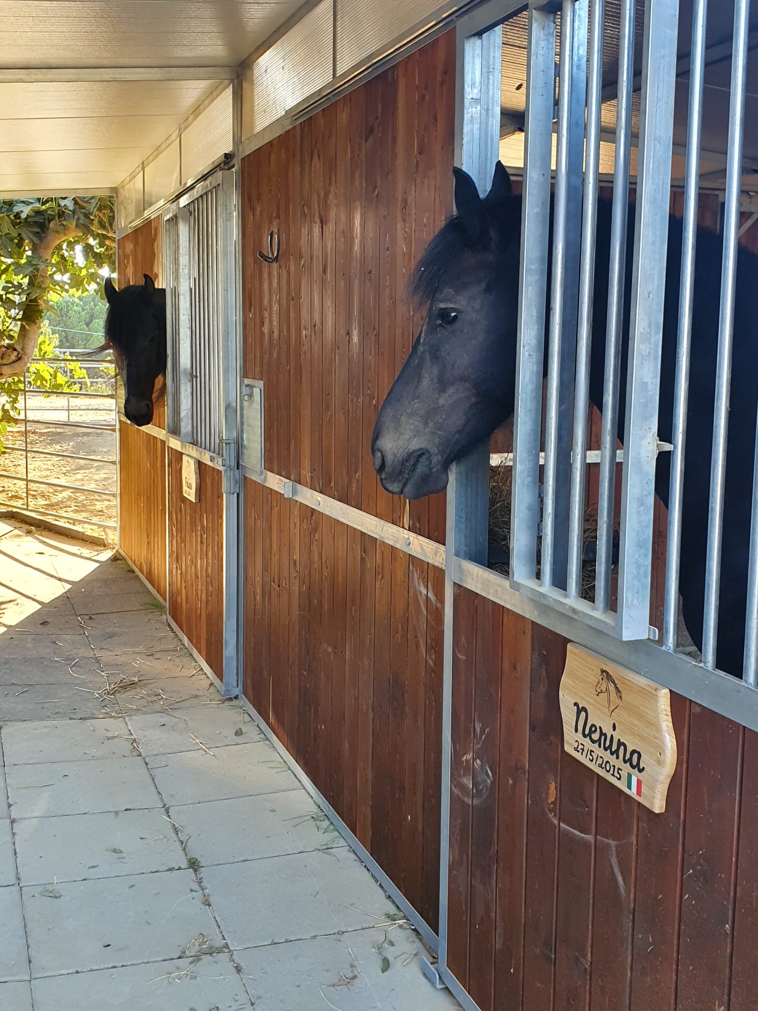 Targa box cavallo maneggio Nerina & Friso