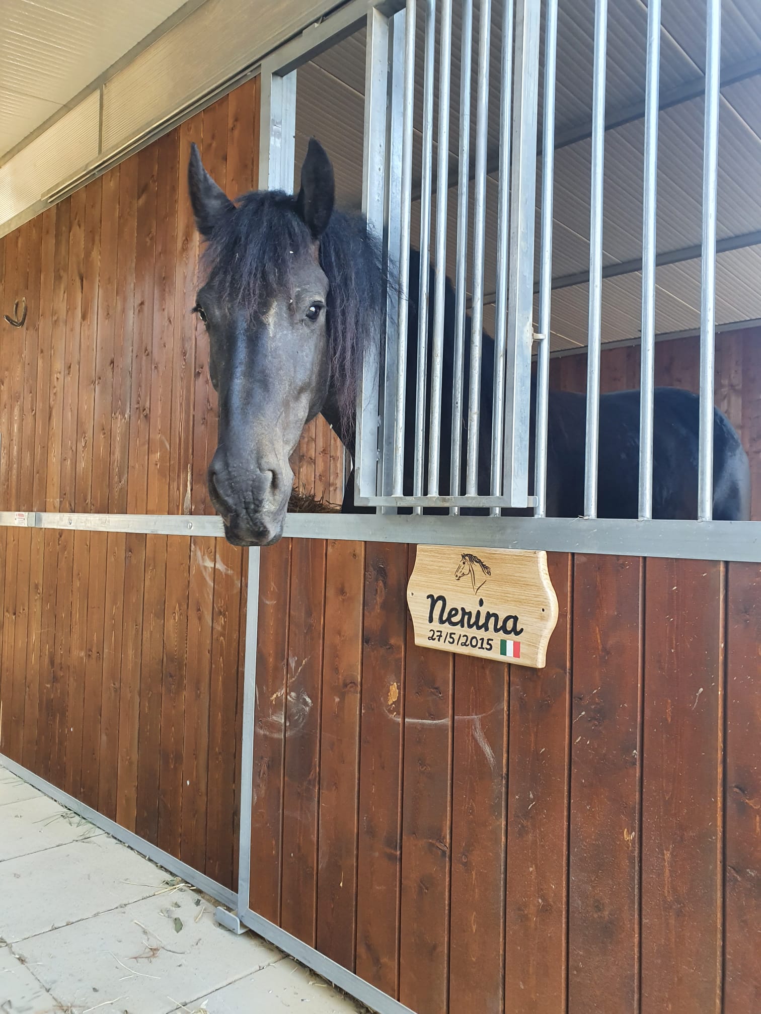 Targa box cavallo maneggio Nerina