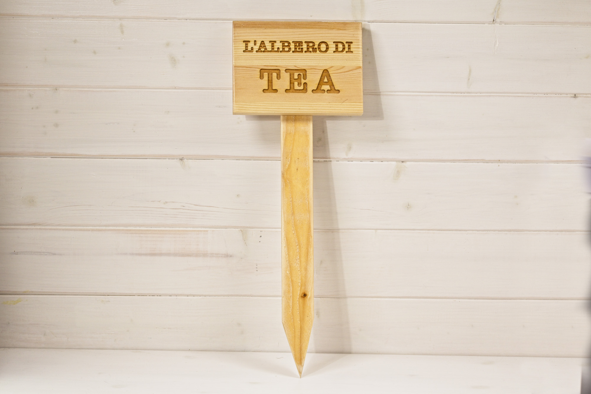 Targa commemorativa tomba cane - Tea