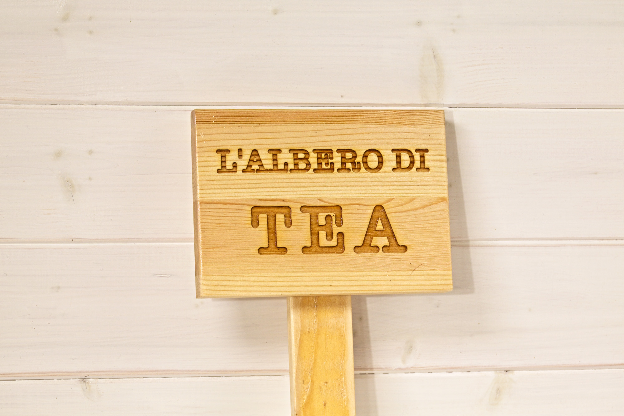 Targa commemorativa tomba cane - Tea