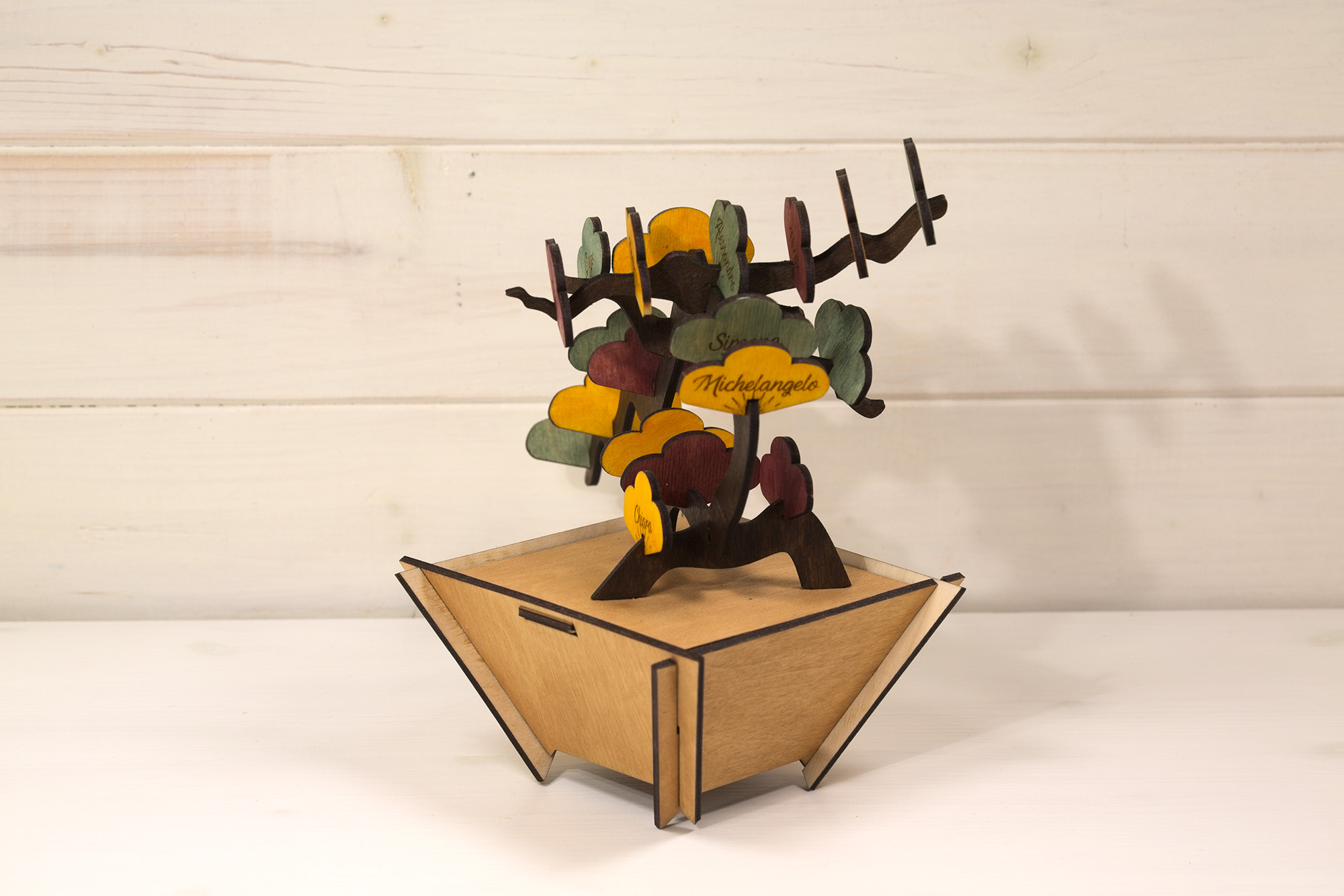Bonsai - alberello bonsai di legno personalizzabile