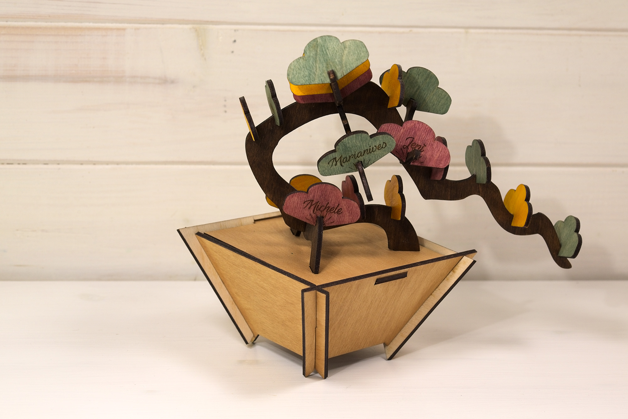 Bonsai - alberello bonsai di legno personalizzabile